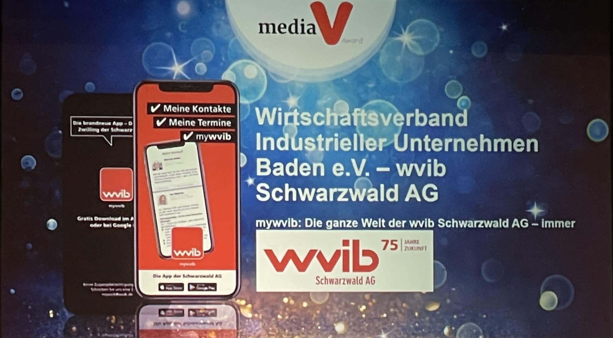 Media V-Award wvib
